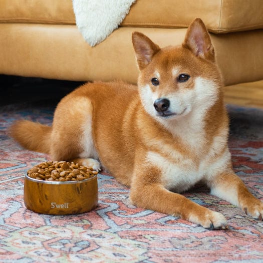 Pet Bowl | 32oz Onyx - Image 4